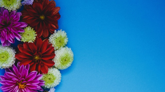 但正如她停 但正如她停