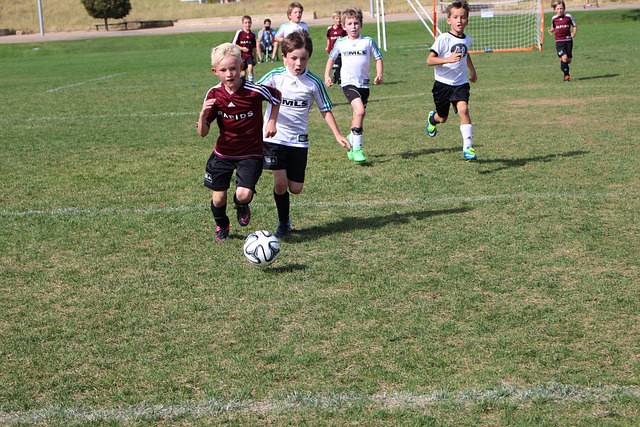 了出色的竞 了出色的竞