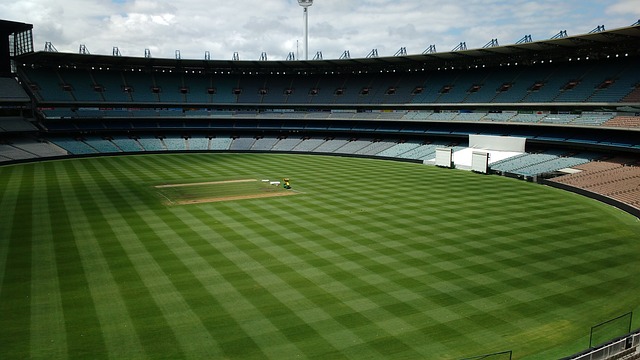 冠進球的球 冠進球的球