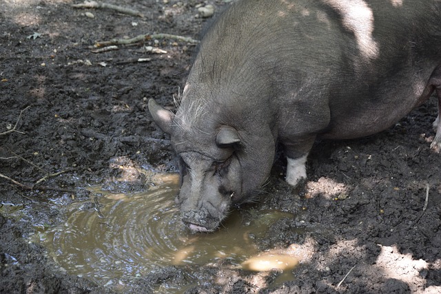 的信念完成 的信念完成
