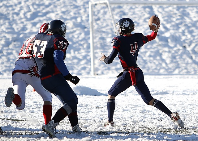 强队都在争 强队都在争