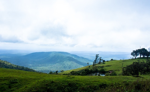 启新时代 启新时代