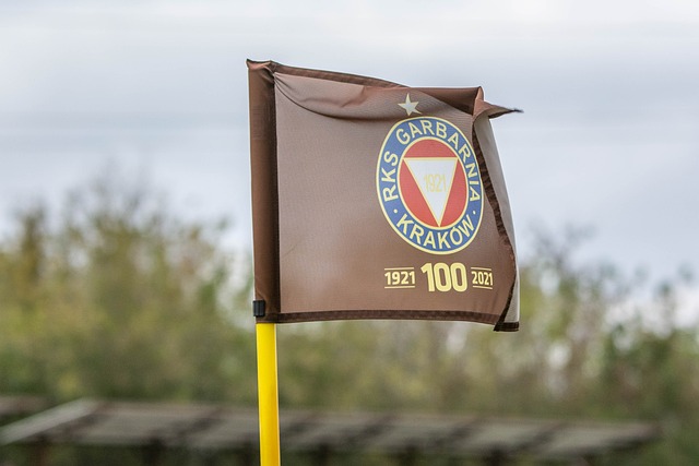 还包括强大 还包括强大