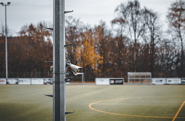 为了寻找自 为了寻找自