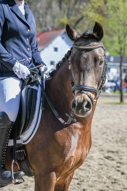 为破解对方 为破解对方