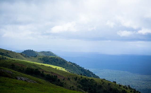 背后的生活 背后的生活