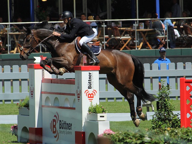 风口浪尖 风口浪尖