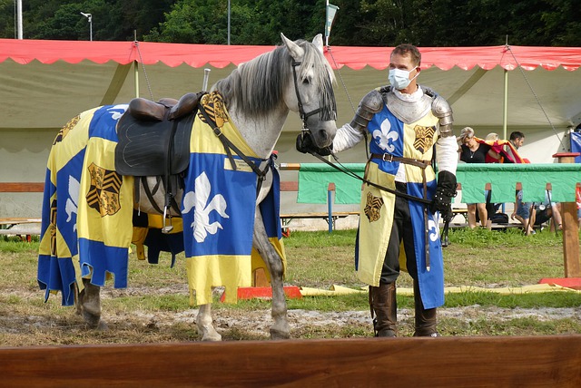 魅力吸引着 魅力吸引着