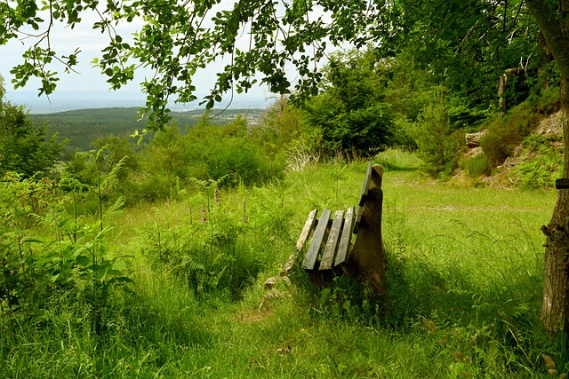 得显著进步 得显著进步